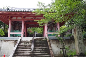 tsubosaka20170705-1