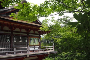 tanzan20170714-5