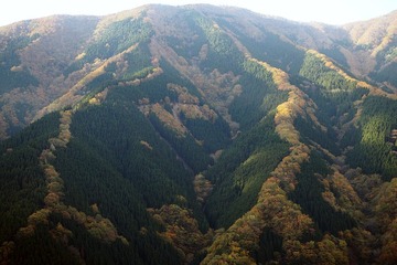 namegotani20181030-02