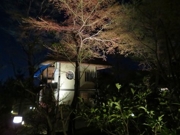 25kodiji20210326