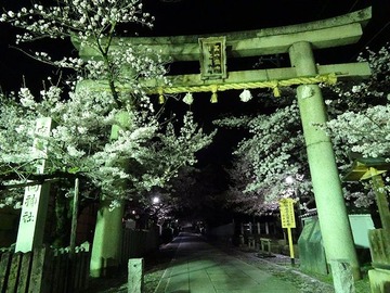 mukojinja20170409-1