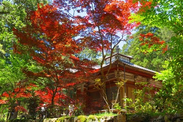 byakugoji-20190508-04