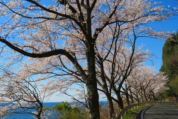 okubiwako20190413-02