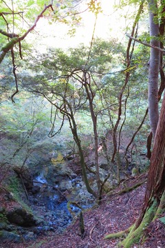 tendaki20191102-04
