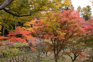 04tenmangu 04tenmangu