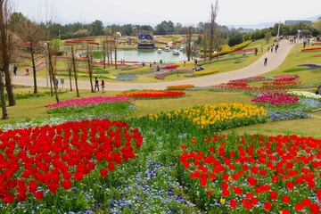 akashikaikyo20190406-09