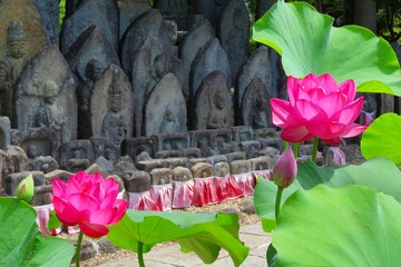 kikoji20200623-05