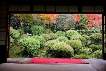 anrakuji20171122-04