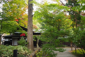 02kakunodate