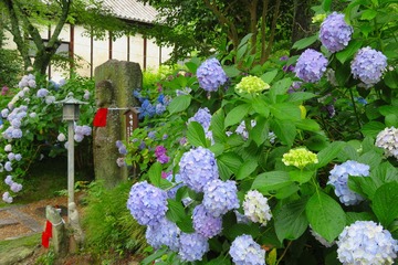 yatadera20190628-02