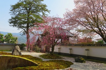 107jissoin20210329
