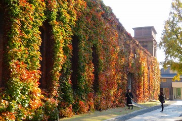 19kurashiki20191123