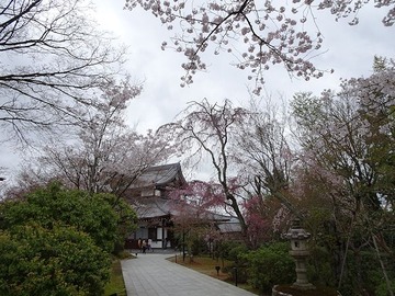 seiryuden20170409-1