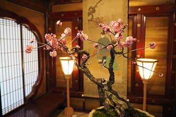 osakatenmangu20170308-4