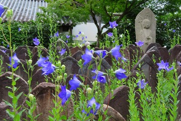 gangoji20190628-05