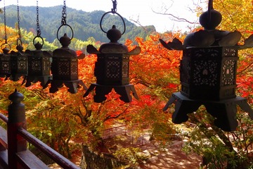 tanzanjinja20191118-10