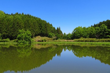 ryuogahuti20190523-04