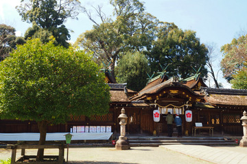 hiranojinja20180323-03