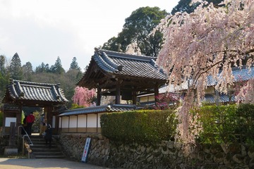onoji20200404-01