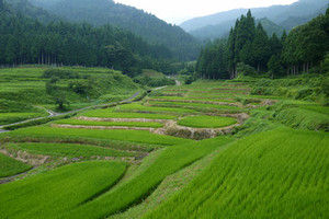 02tanada 02tanada