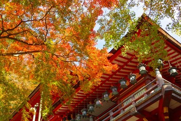 tanzanjinja20191118-07