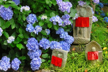 yatadera20190628-05