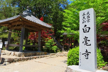 byakugoji-20190508-01