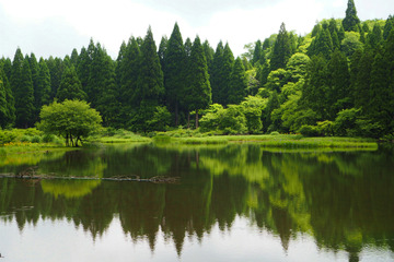 hiraike20180607-05