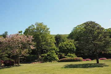 kokaido20170504-2
