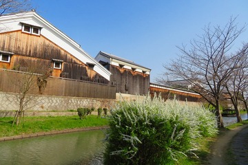 hushimi20200321-02
