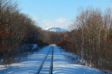 10hokkaido20190307