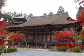 31tyorakuji20191126