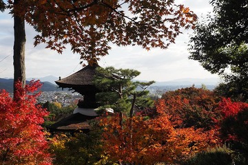 jojakoji20171116-05