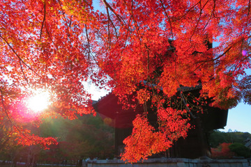nanzenji20181123-02
