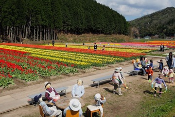 tantou20170423-02