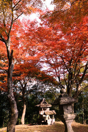 Tanzanjinja07