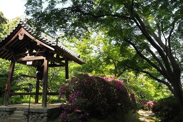 tyogakuji20170507-05