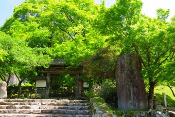 kogenji20190508-01