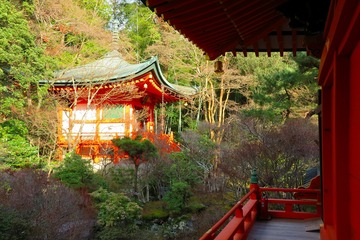 bisyamondo20190220-04