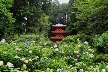 gansenji20170622-04