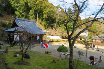 syoryakuji20200309-03