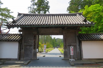 202zuiganji20190605
