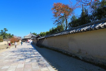 205horyuji20201027