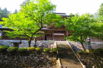 eiheiji20190811-07