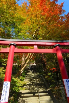 tanzanjinja20191118-04