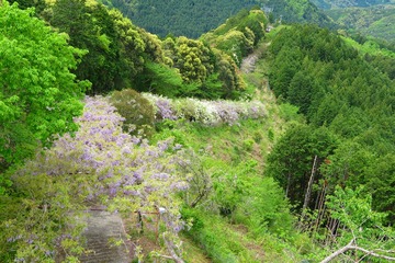 fujidanaroad20190428-05