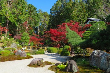 32konkaikomyoji20191117