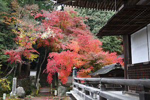 Saikyoji03 Saikyoji03