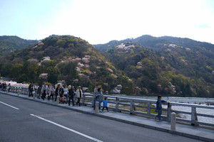 14arashiyama