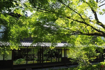 ryukokuji20170502-03